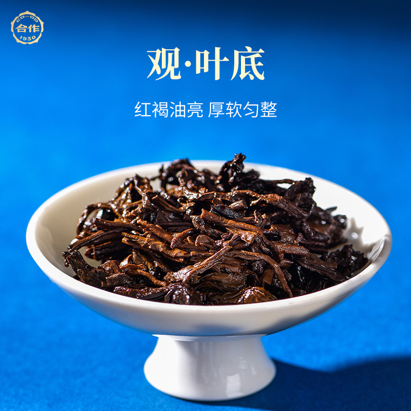 普洱熟茶