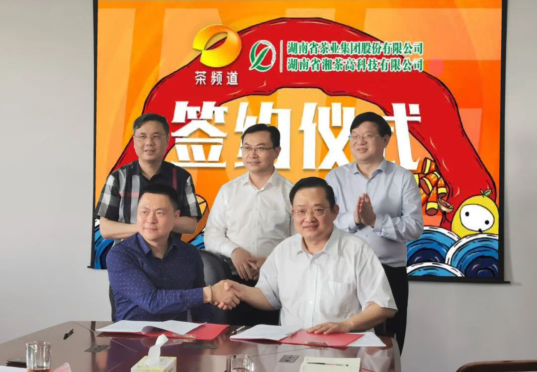 院士見(jiàn)證，輕輕茶發(fā)力品牌建設(shè)，與茶頻道達(dá)成深度合作